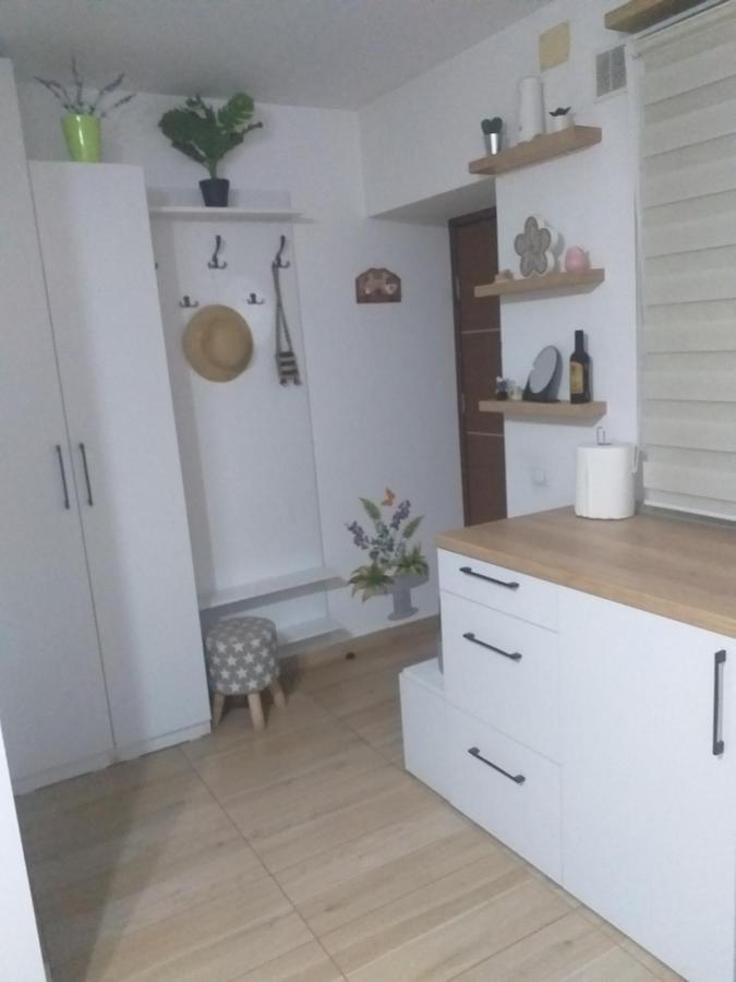 Fully Furnished Studio Sighetu Marmaţiei Exterior foto